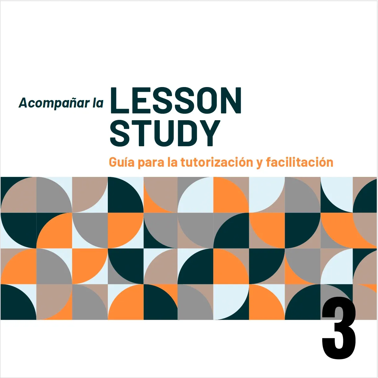 Acompañar la Lesson Study 3